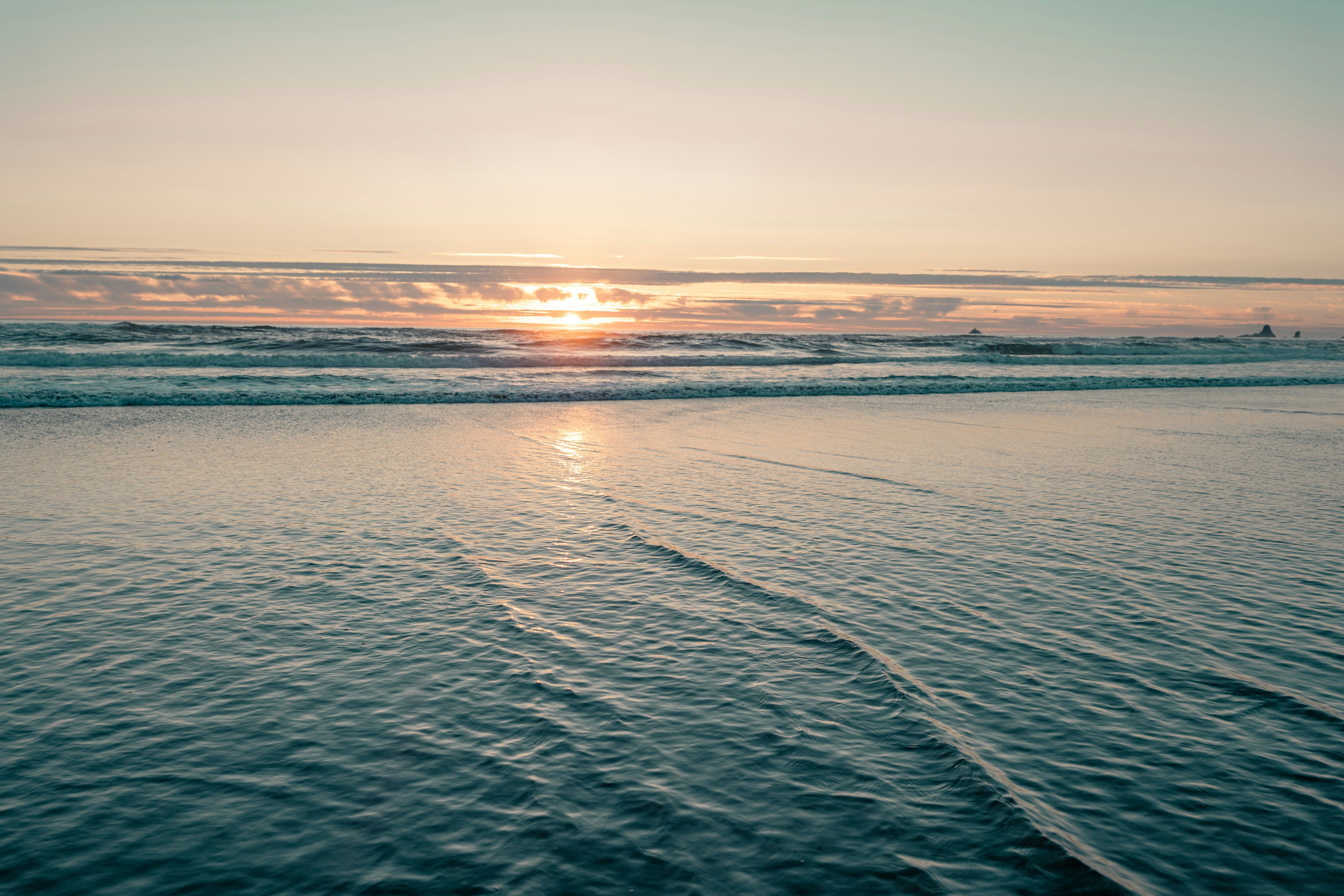 Photo by sachin_sandhu