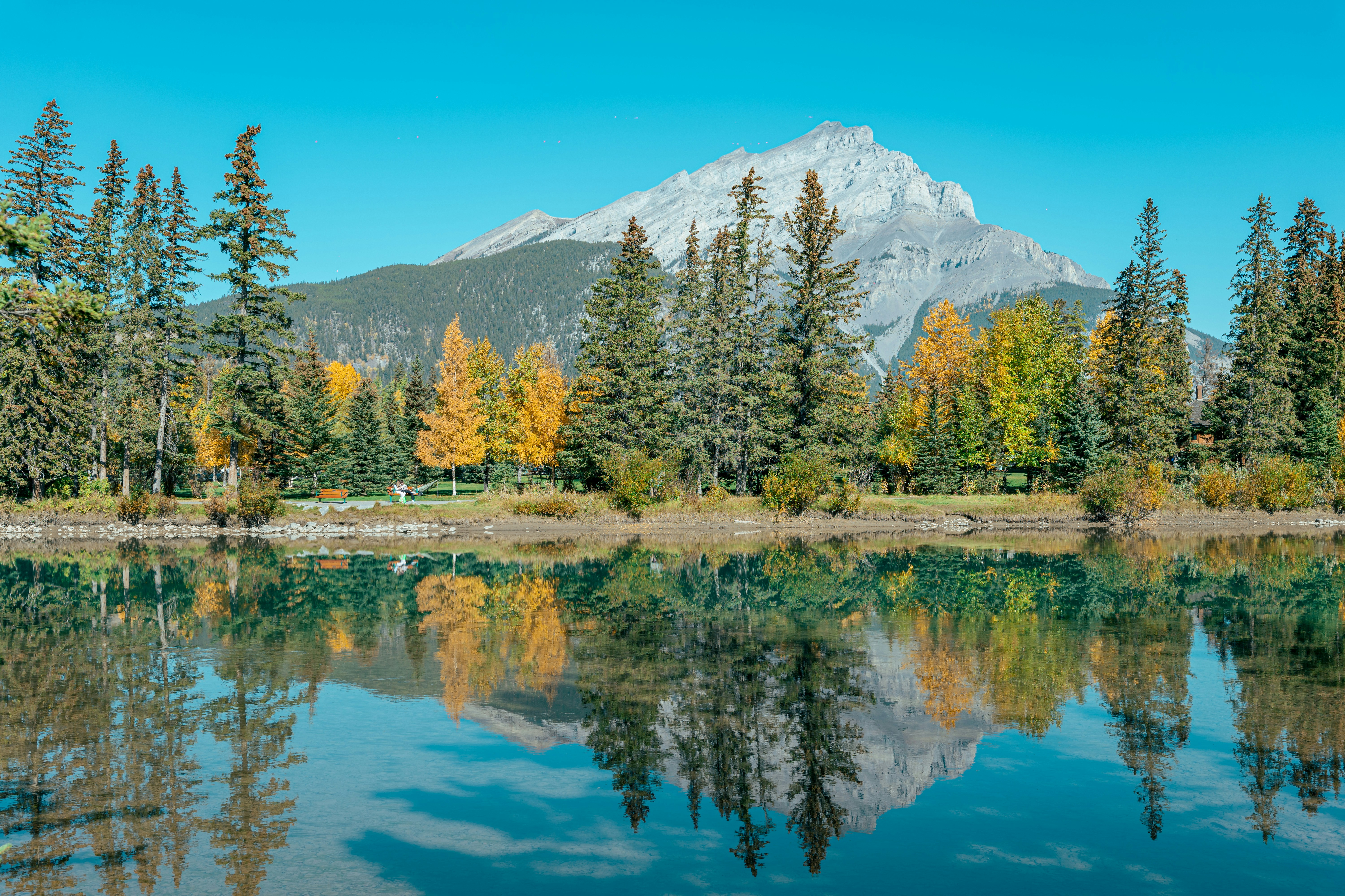 Photo by sachin_sandhu