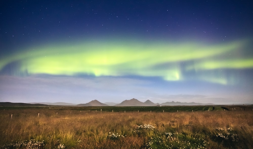 a field with a lot of grass and some lights in the sky