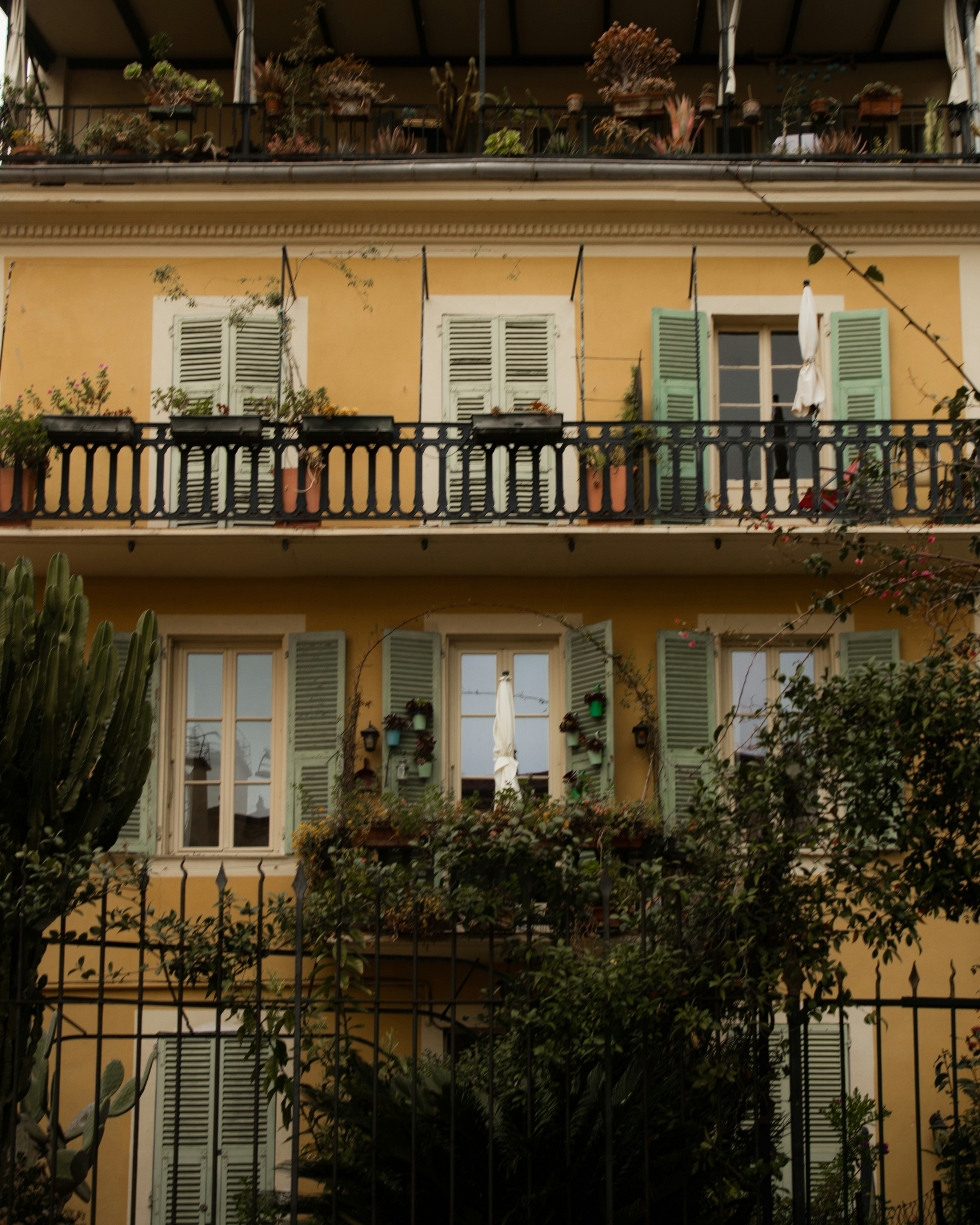 Photo by jovanvasiljevic