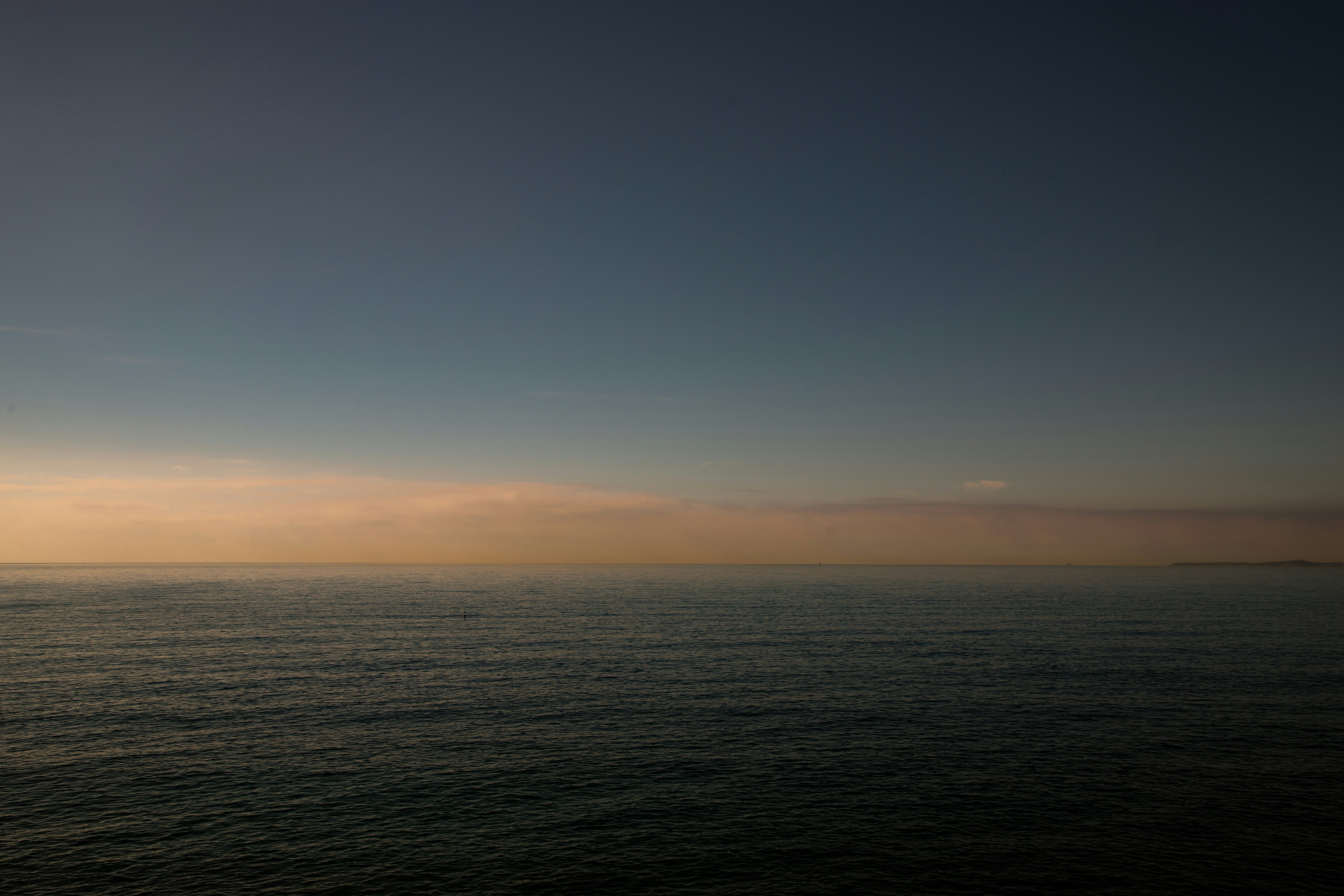 Photo by jovanvasiljevic