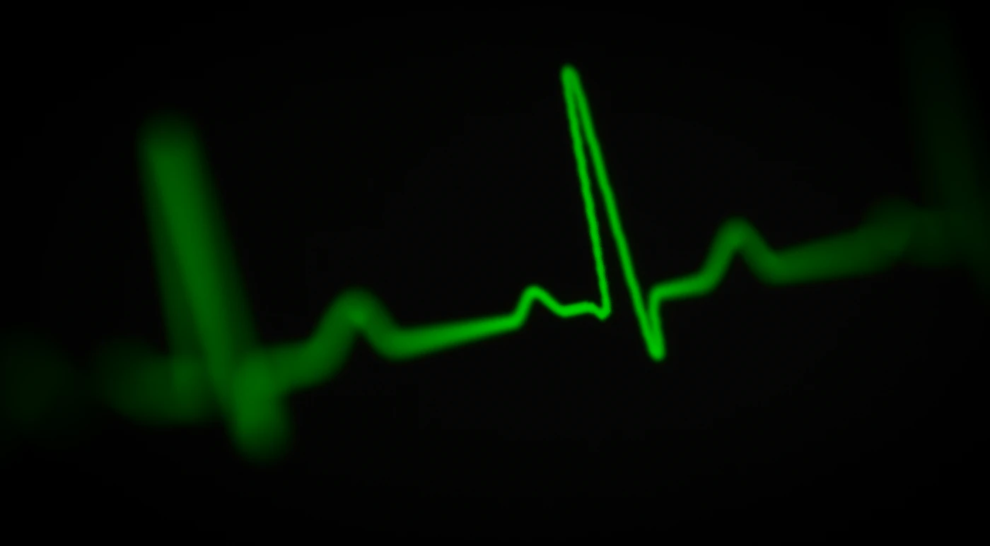 Check Your Heart Health: Habits That Protect You