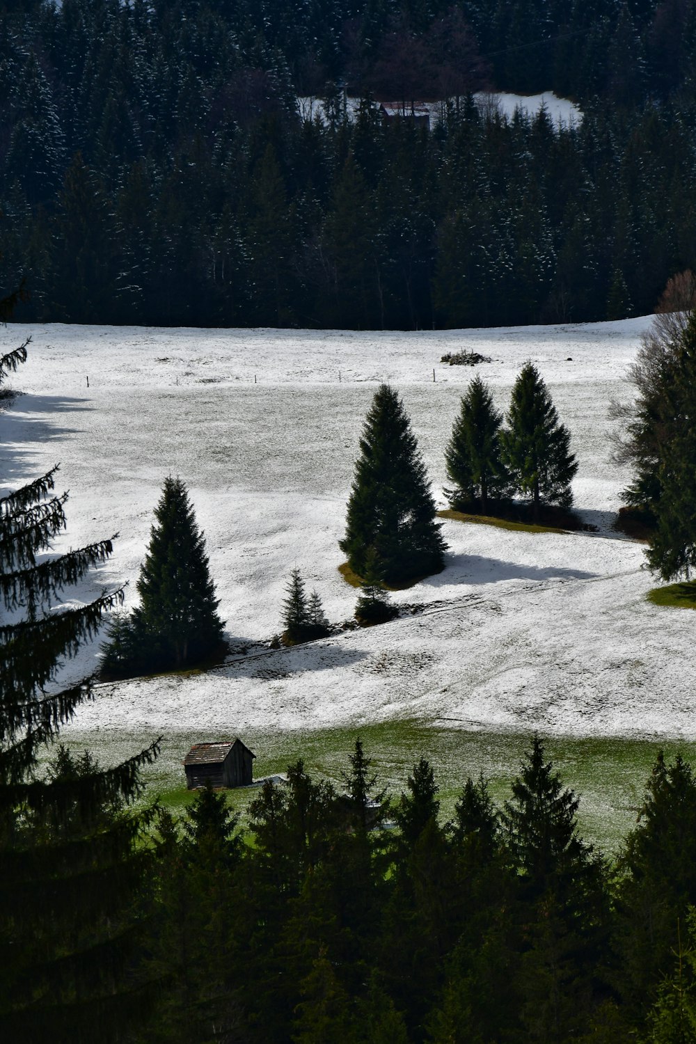 a snow covered field with trees and a house in the distance