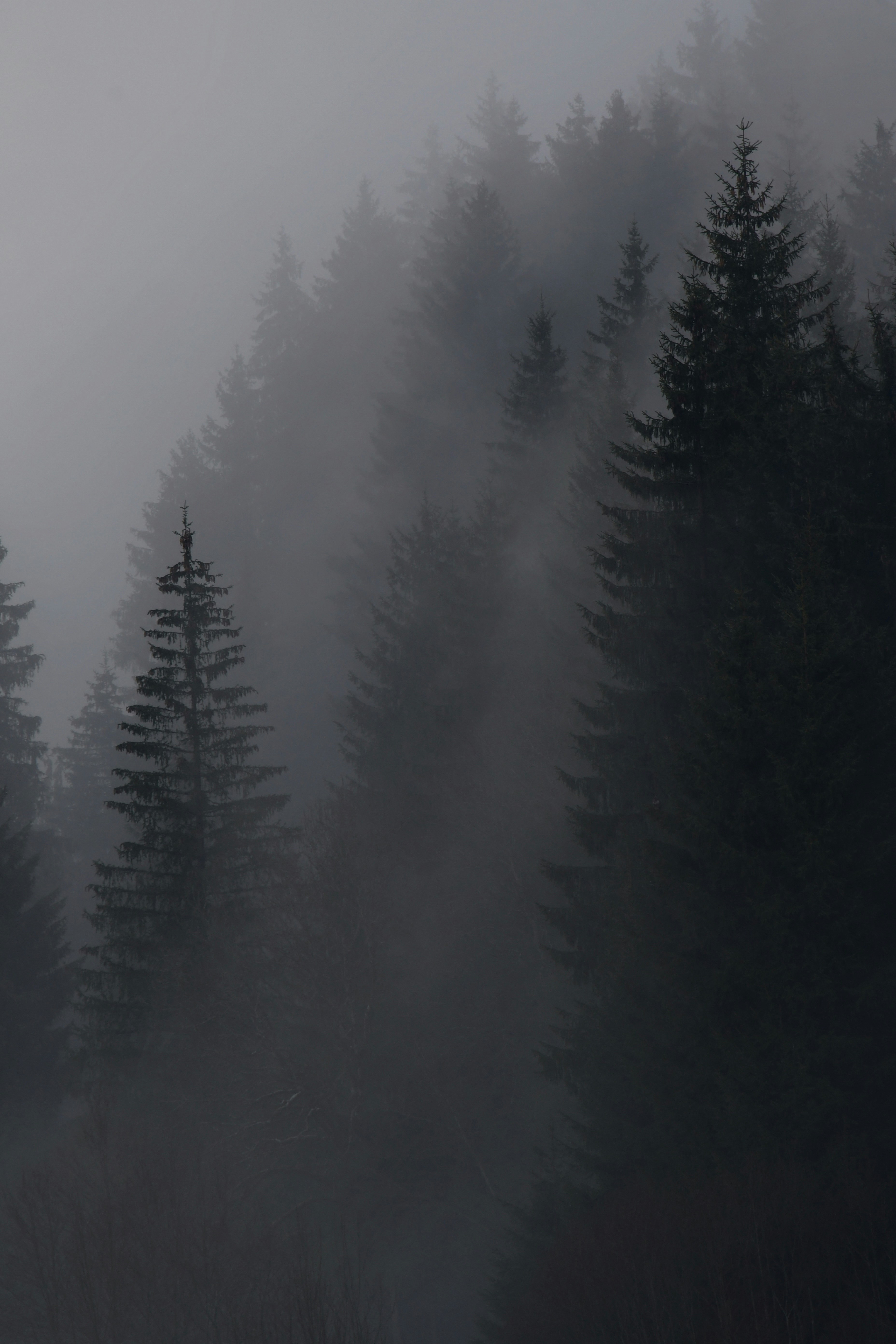 Photo by pedrino5_official