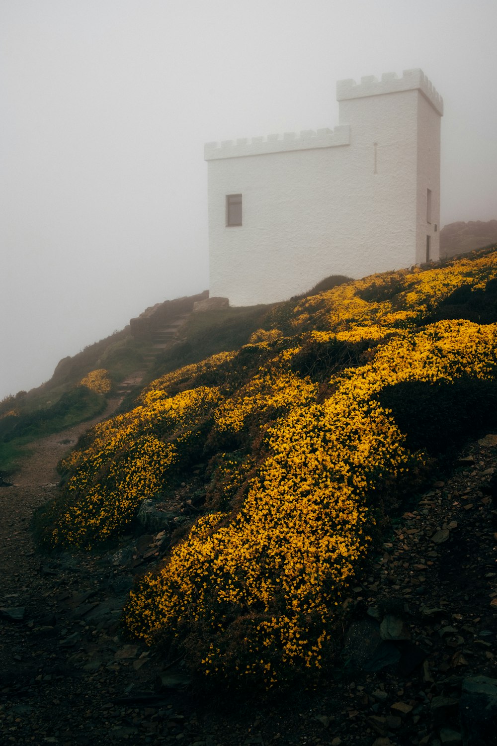 a white building sitting on top of a hill covered in yellow flowers