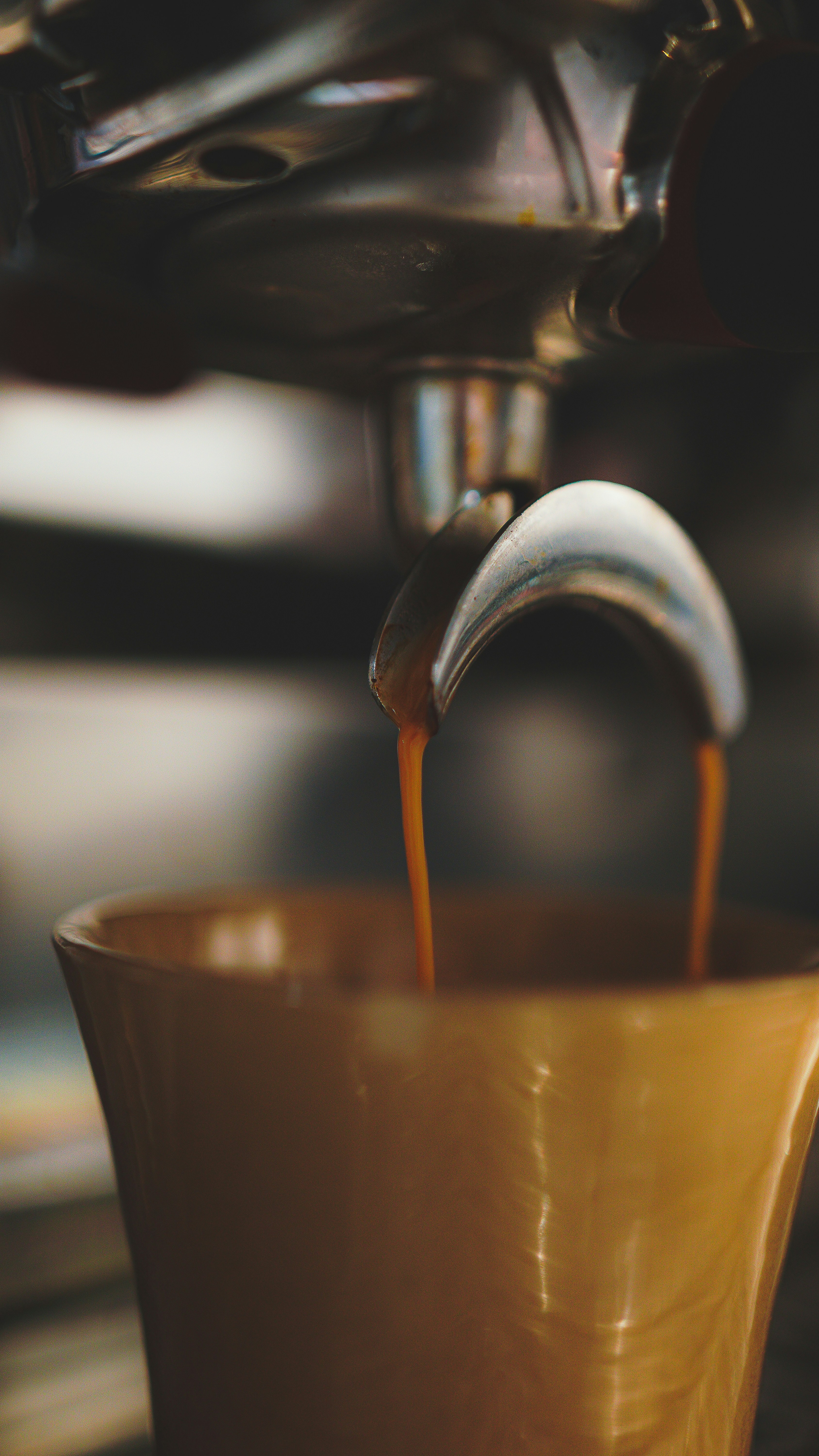 Photo by notsocreative