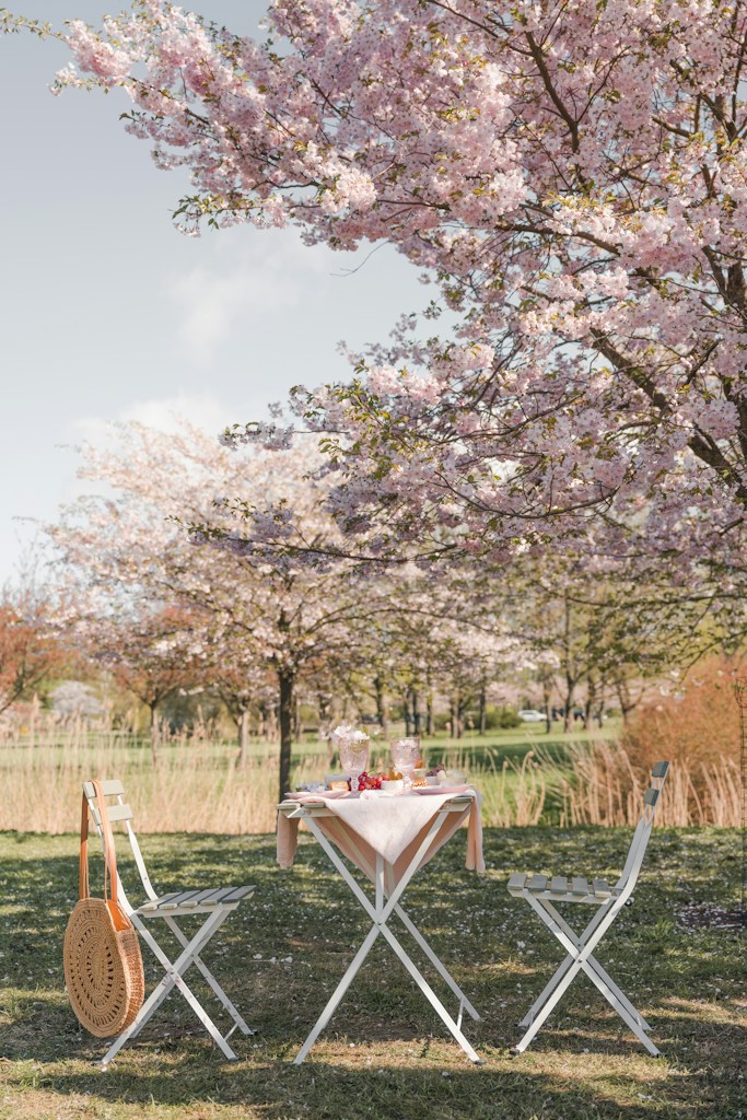 Picnic de Sonrisas