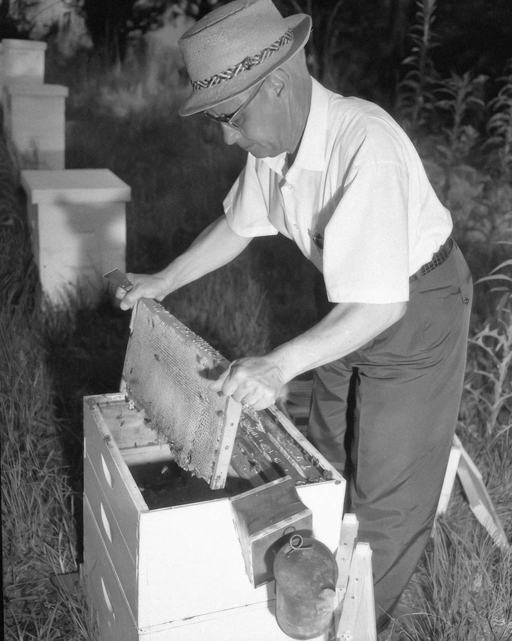 a man in a hat is inspecting a beehive