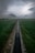 A narrow irrigation canal runs through a lush green field leading towards distant mountains. The landscape is shrouded in mist, creating a serene and mystical atmosphere under a cloudy sky.