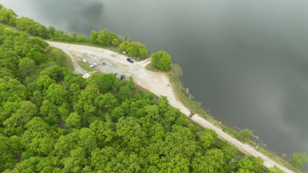 An aerial view captures a lush green forest adjoining a large body of calm water. A narrow dirt road meanders by the water's edge, where a few parked vehicles can be seen. The scene is serene and untouched by urban development.