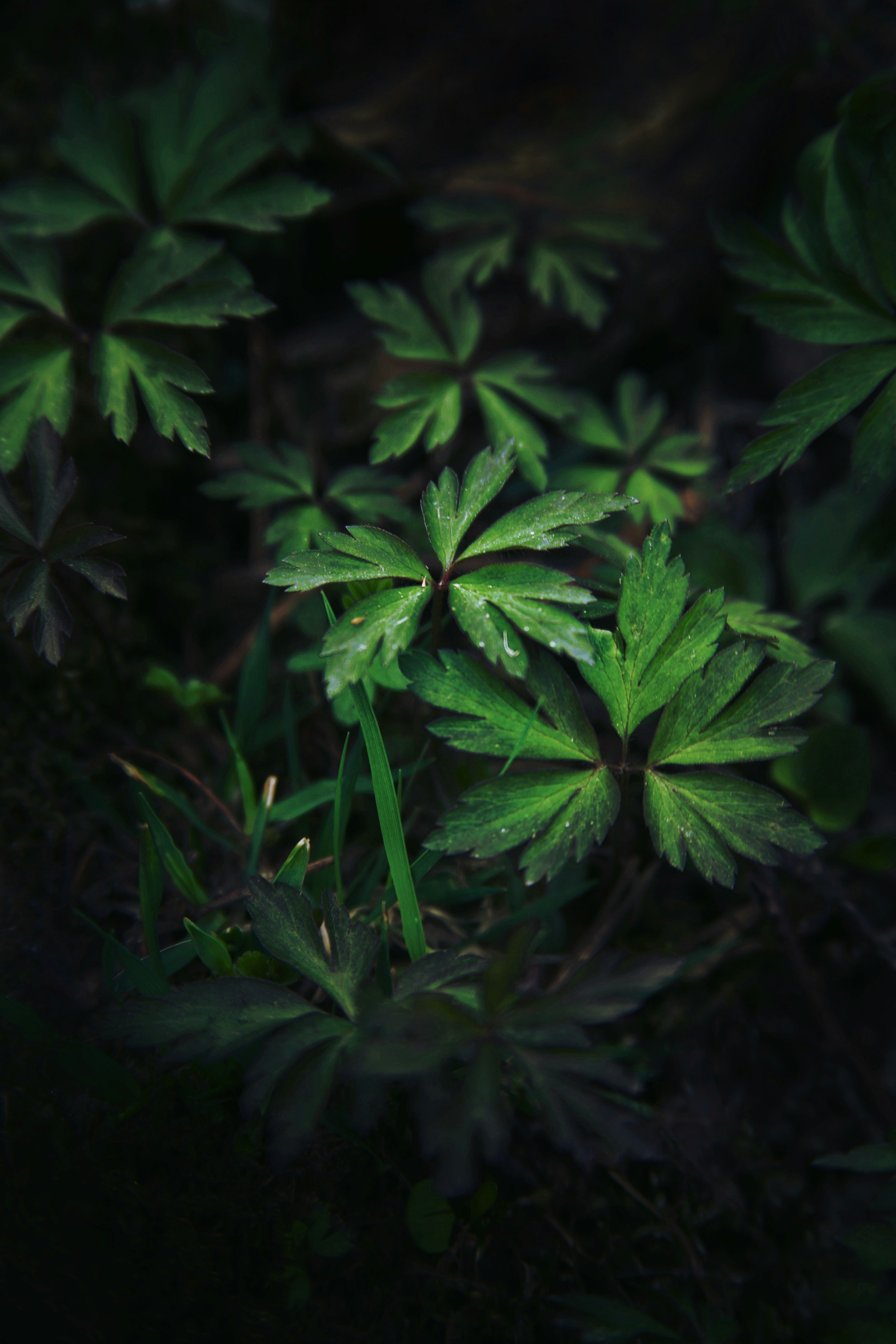 Photo by kristinokarlsen