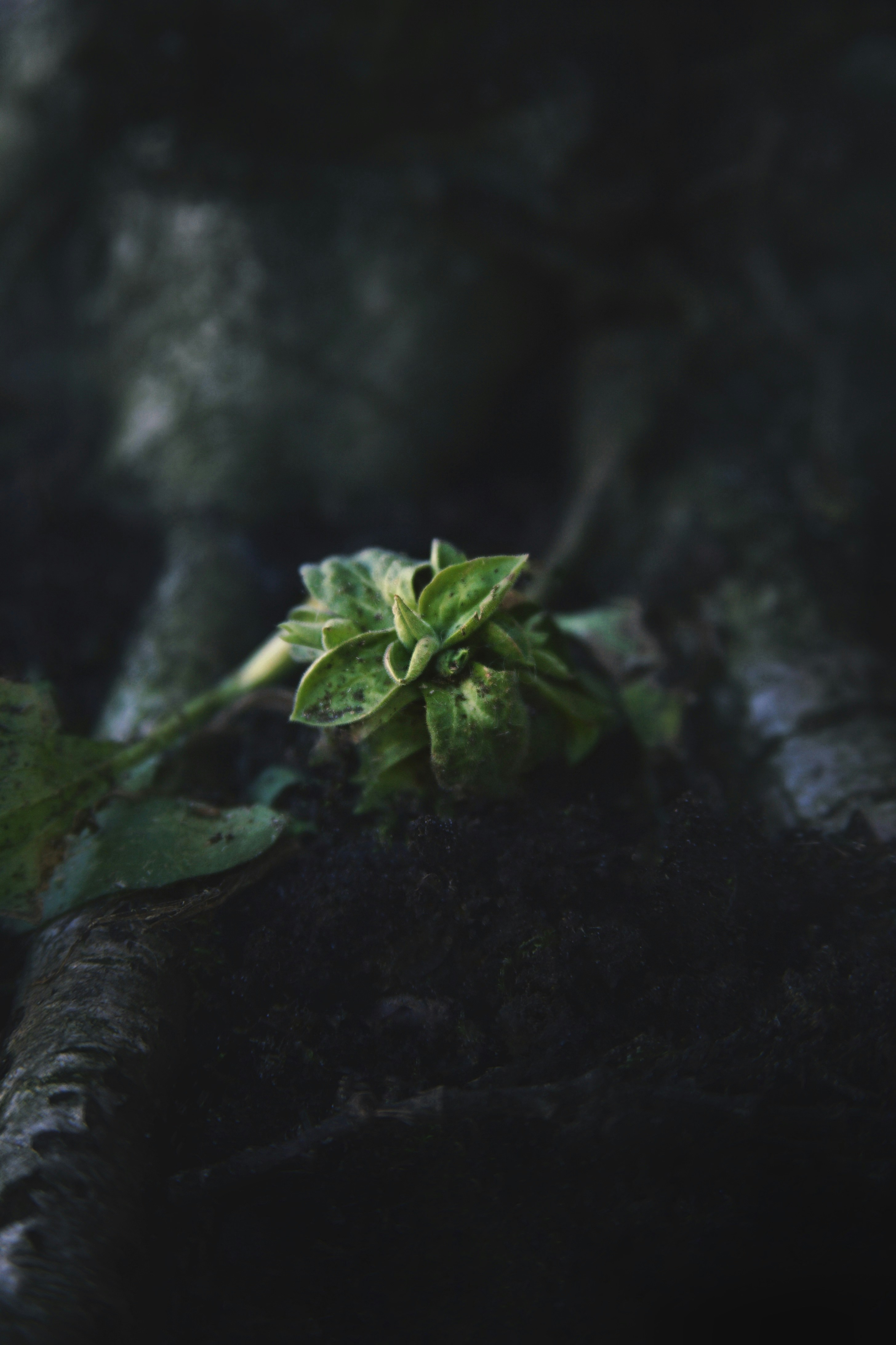 Photo by kristinokarlsen