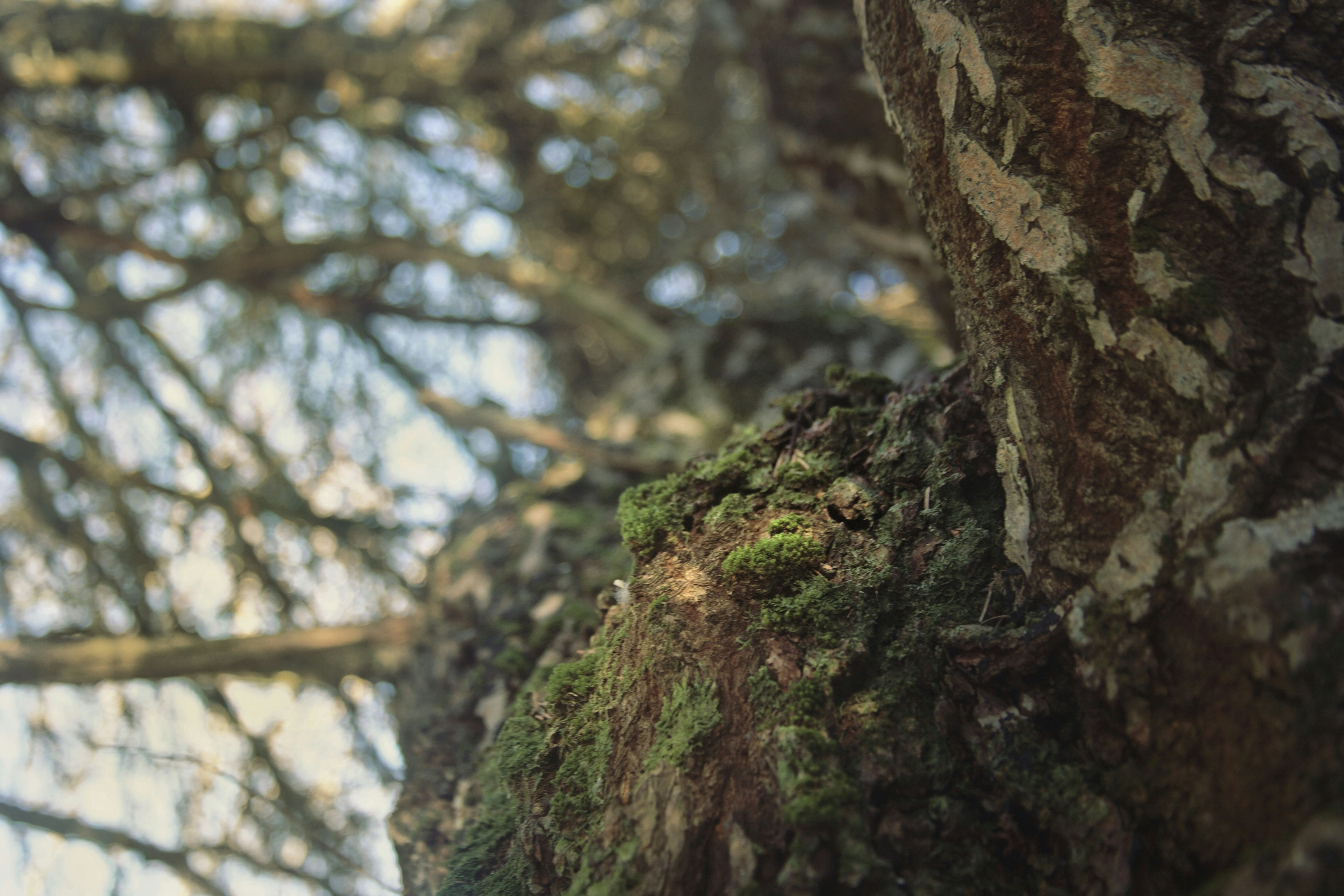 Photo by kristinokarlsen