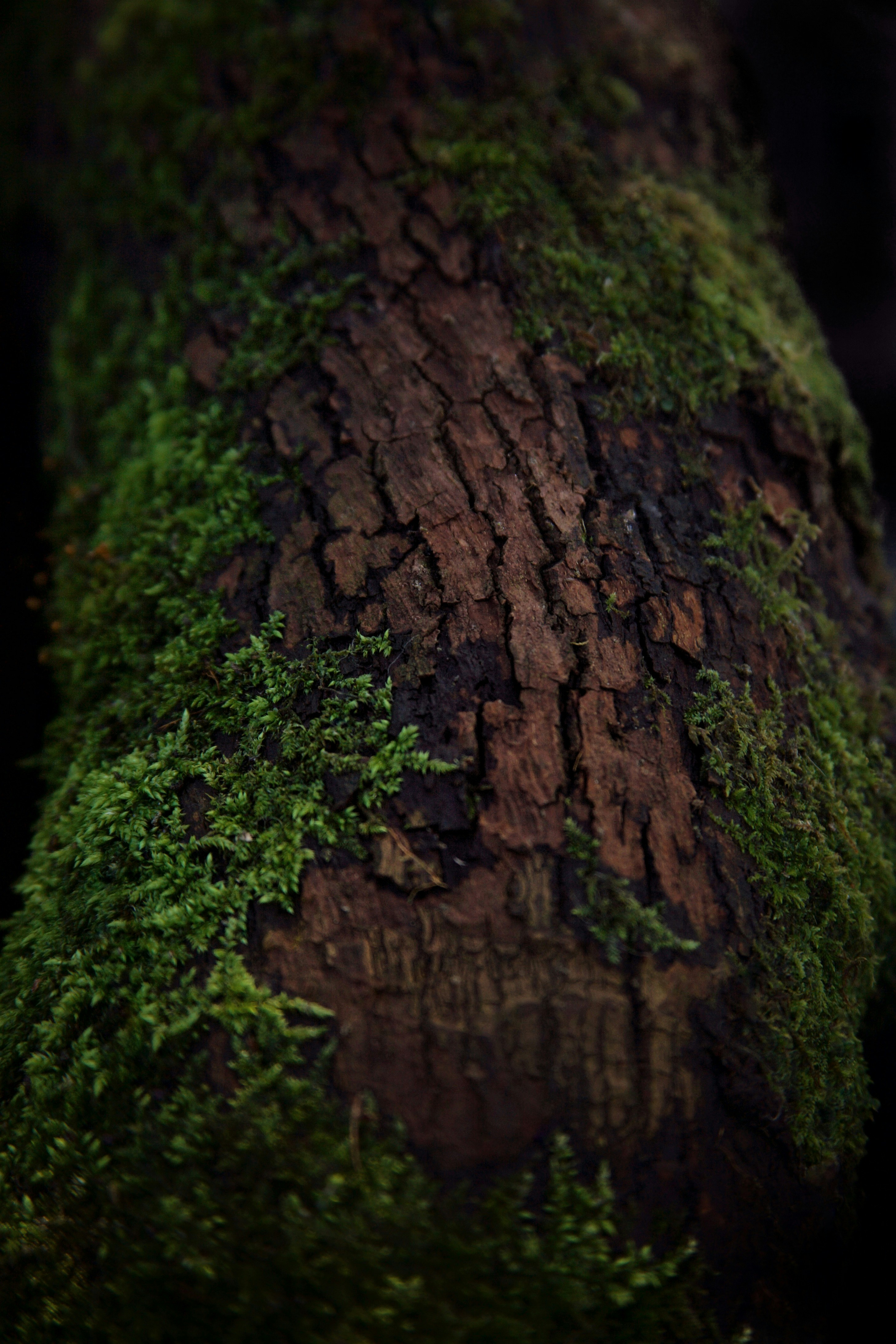 Photo by kristinokarlsen