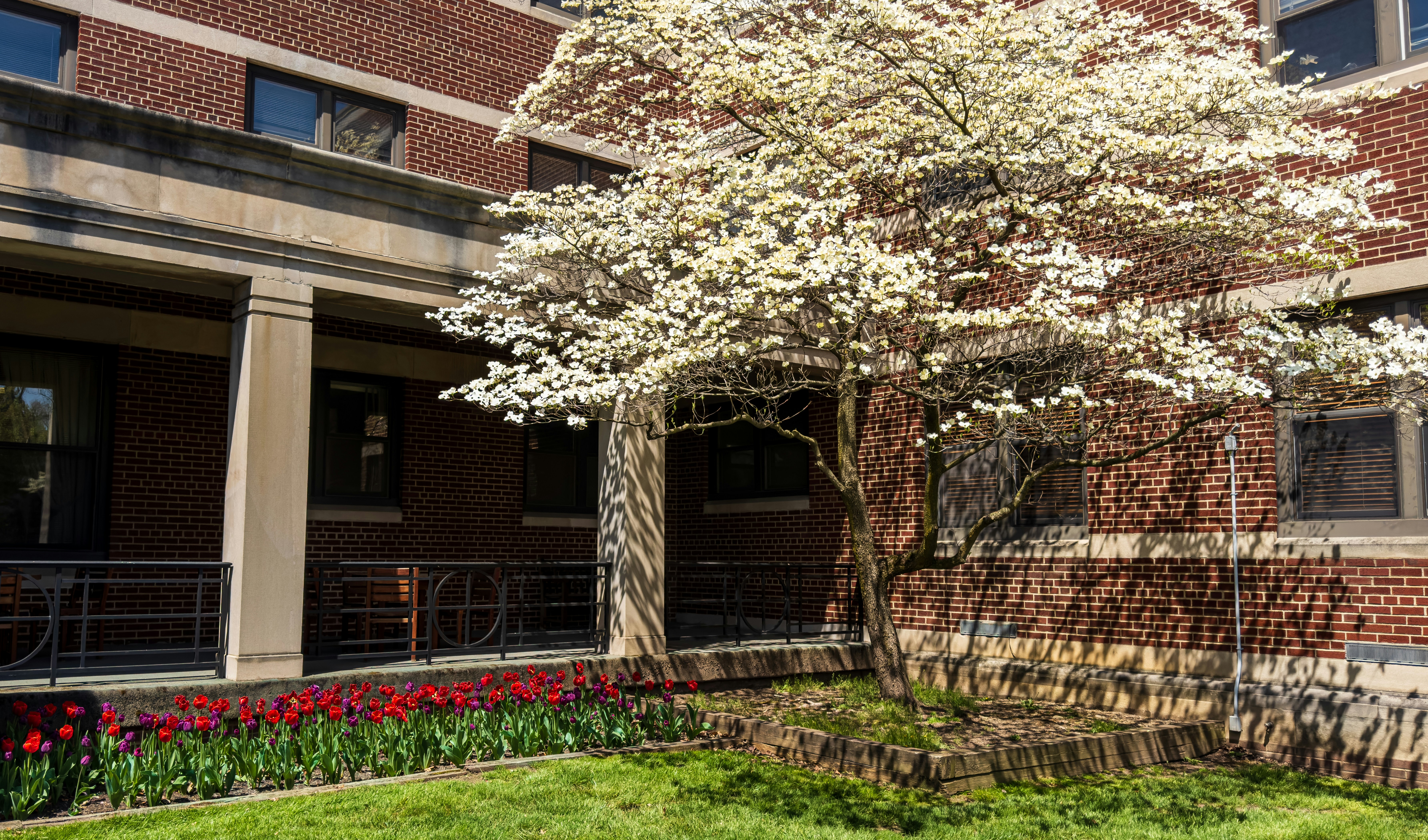 Photo by chrisfromnepa