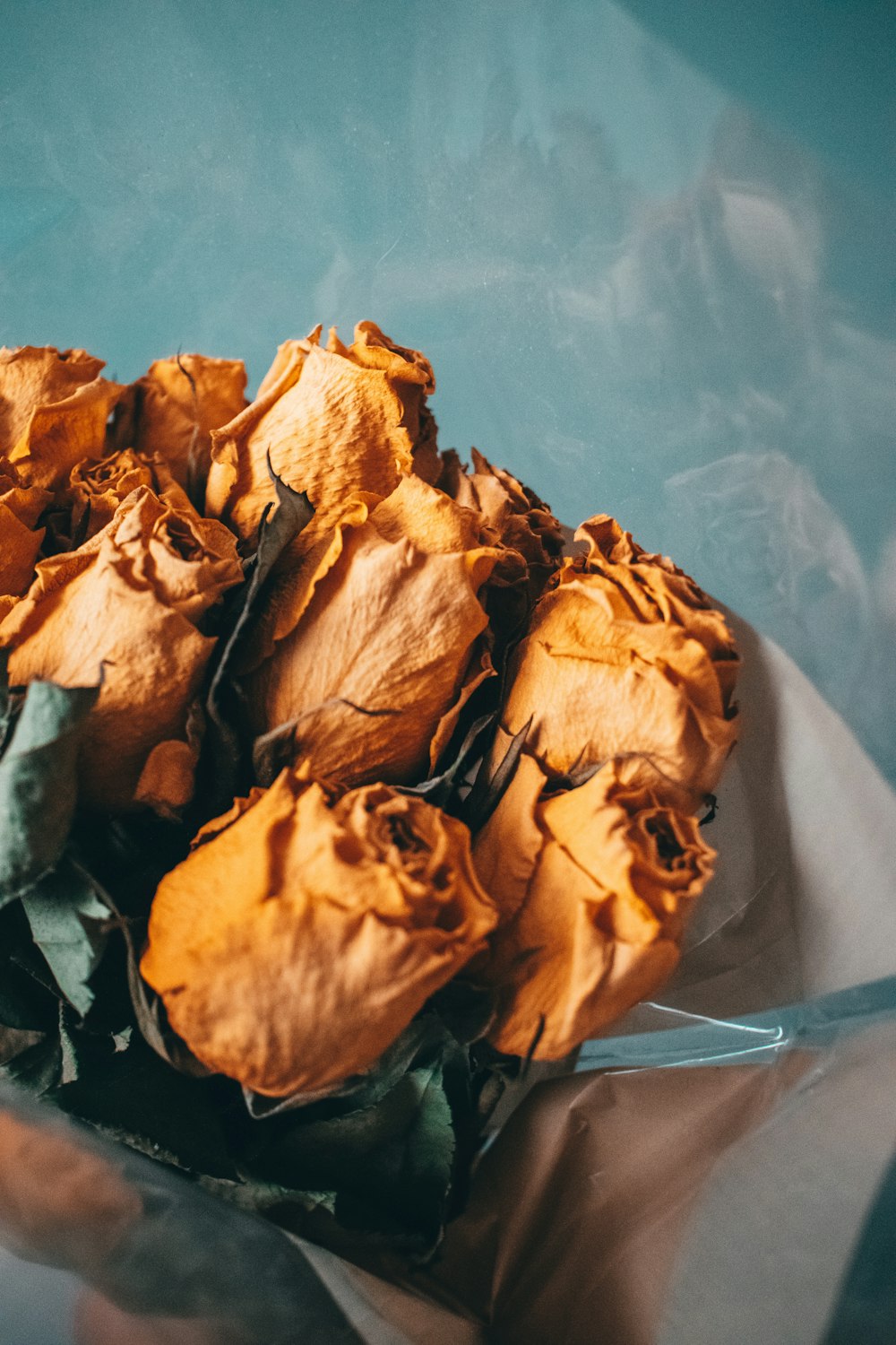 a close up of a bunch of dried flowers