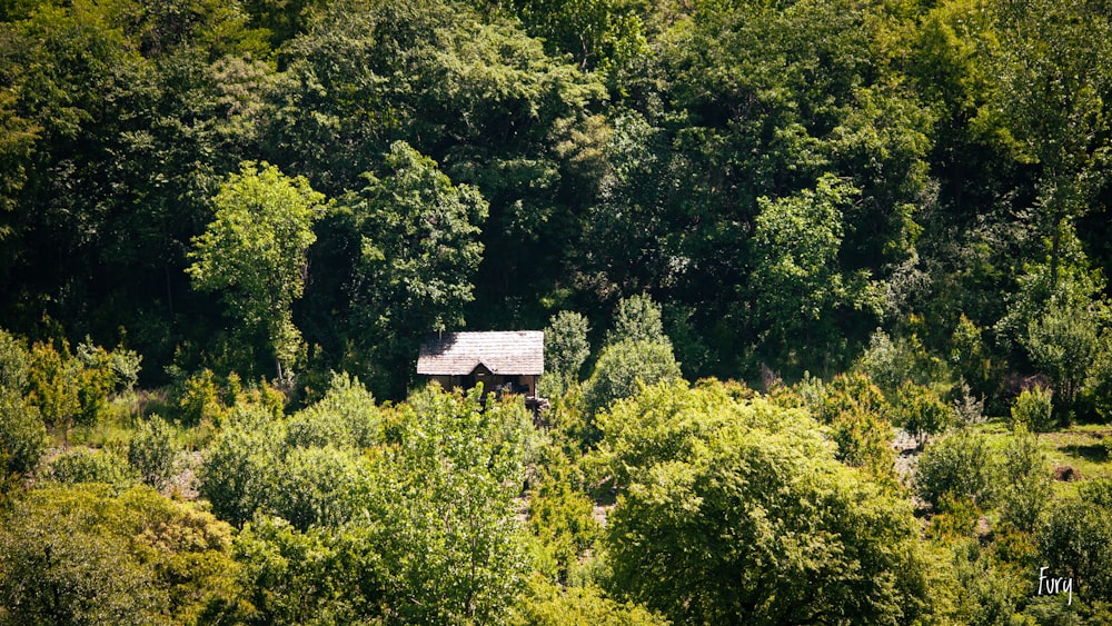 a small house in the middle of a forest