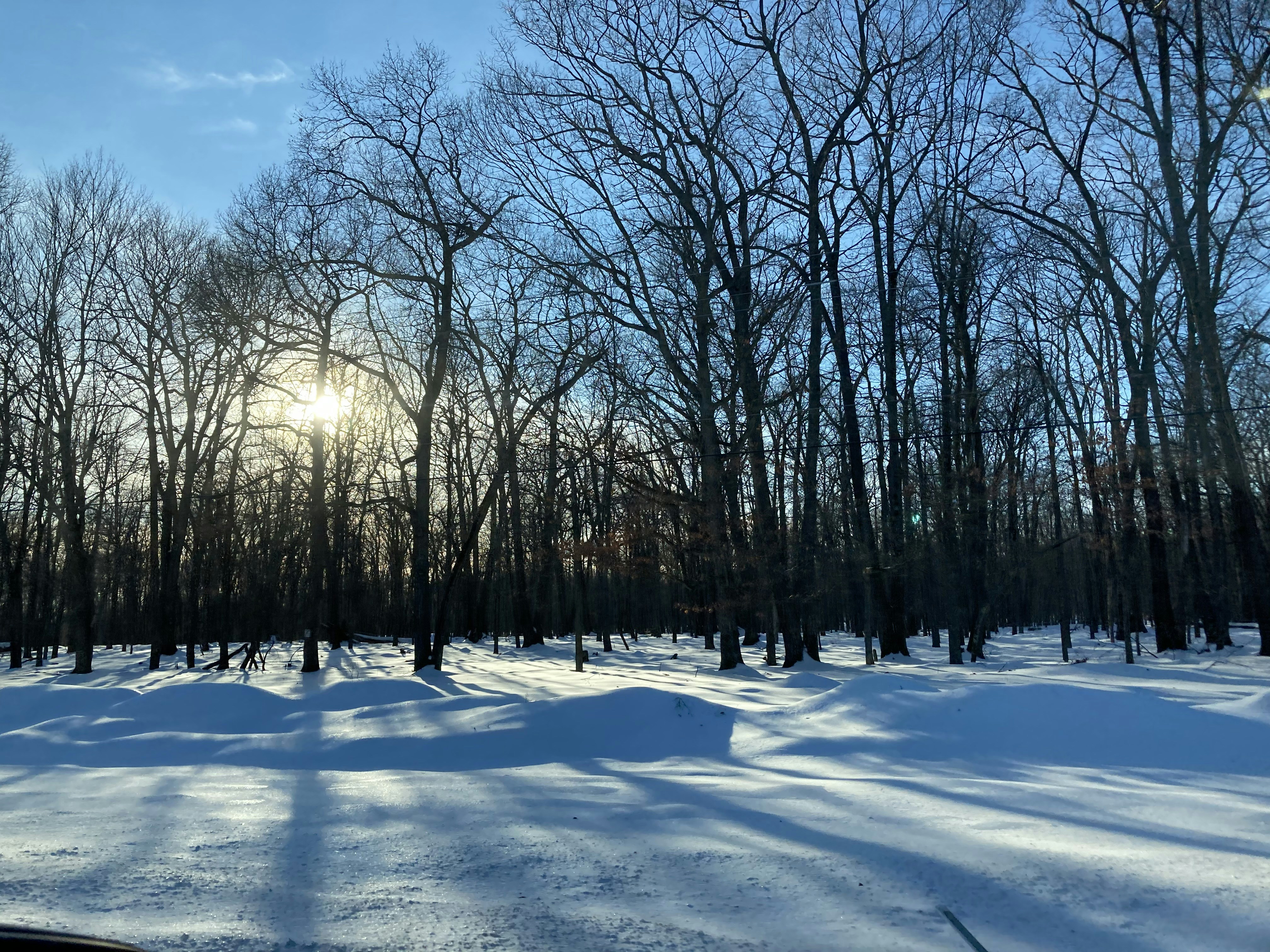 Photo by lisa_duqlaw