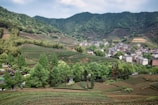 Panoramic view of terraced fields supported by dry stone walls in a rural setting.