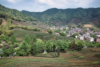 Panoramic view of terraced fields supported by dry stone walls in a rural setting.