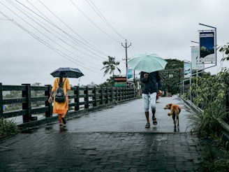a man and a woman walking down a sidewalk with an umbrella
