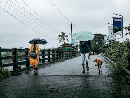 a man and a woman walking down a sidewalk with an umbrella