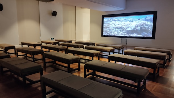 A small, dimly lit room with several rows of simple benches facing a large screen displaying an underwater scene. The wooden floor adds warmth to the otherwise minimalist decor. Speakers are mounted on the walls, and the overall setup suggests a theater-like environment.
