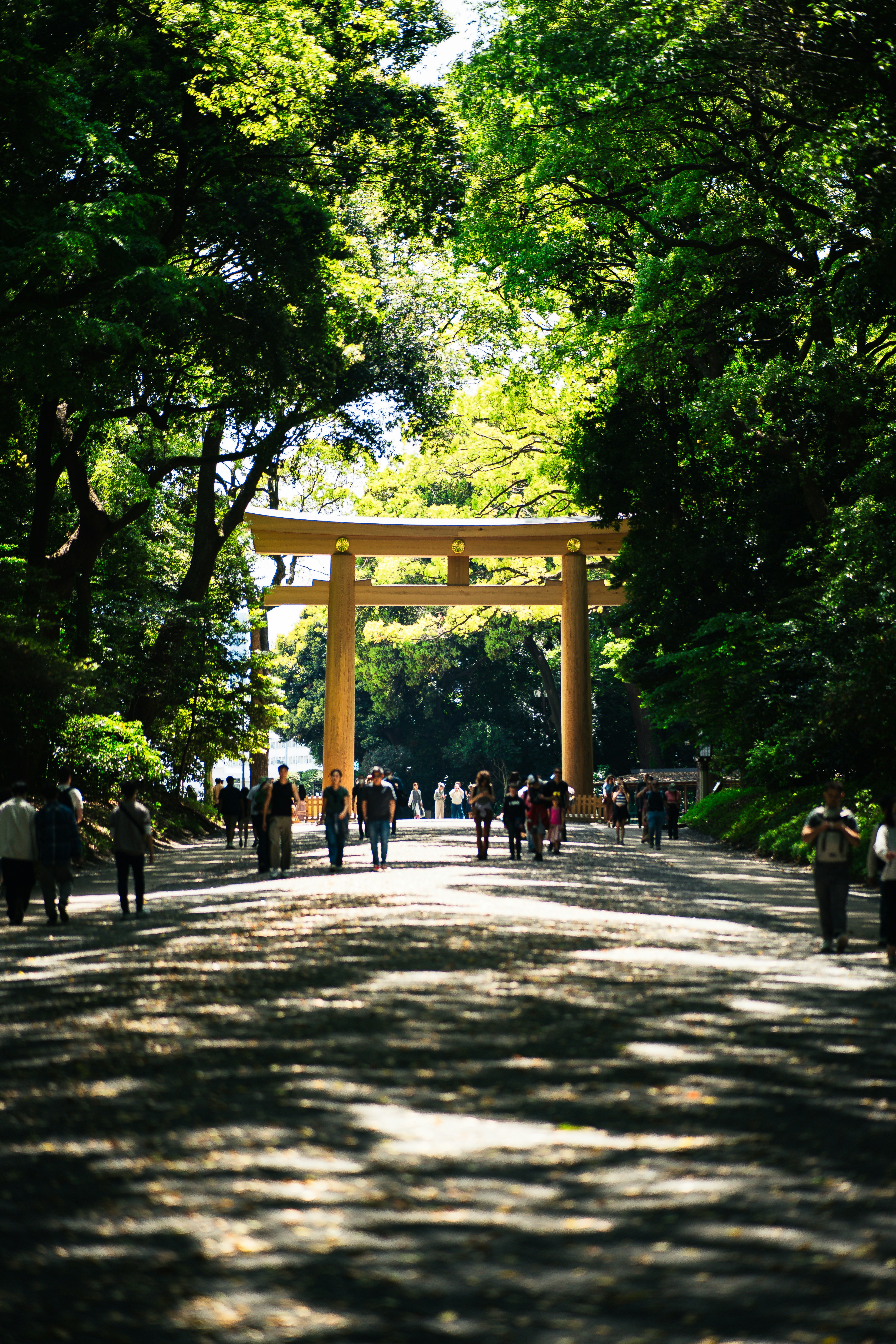 Photo by shields_mcmxcix