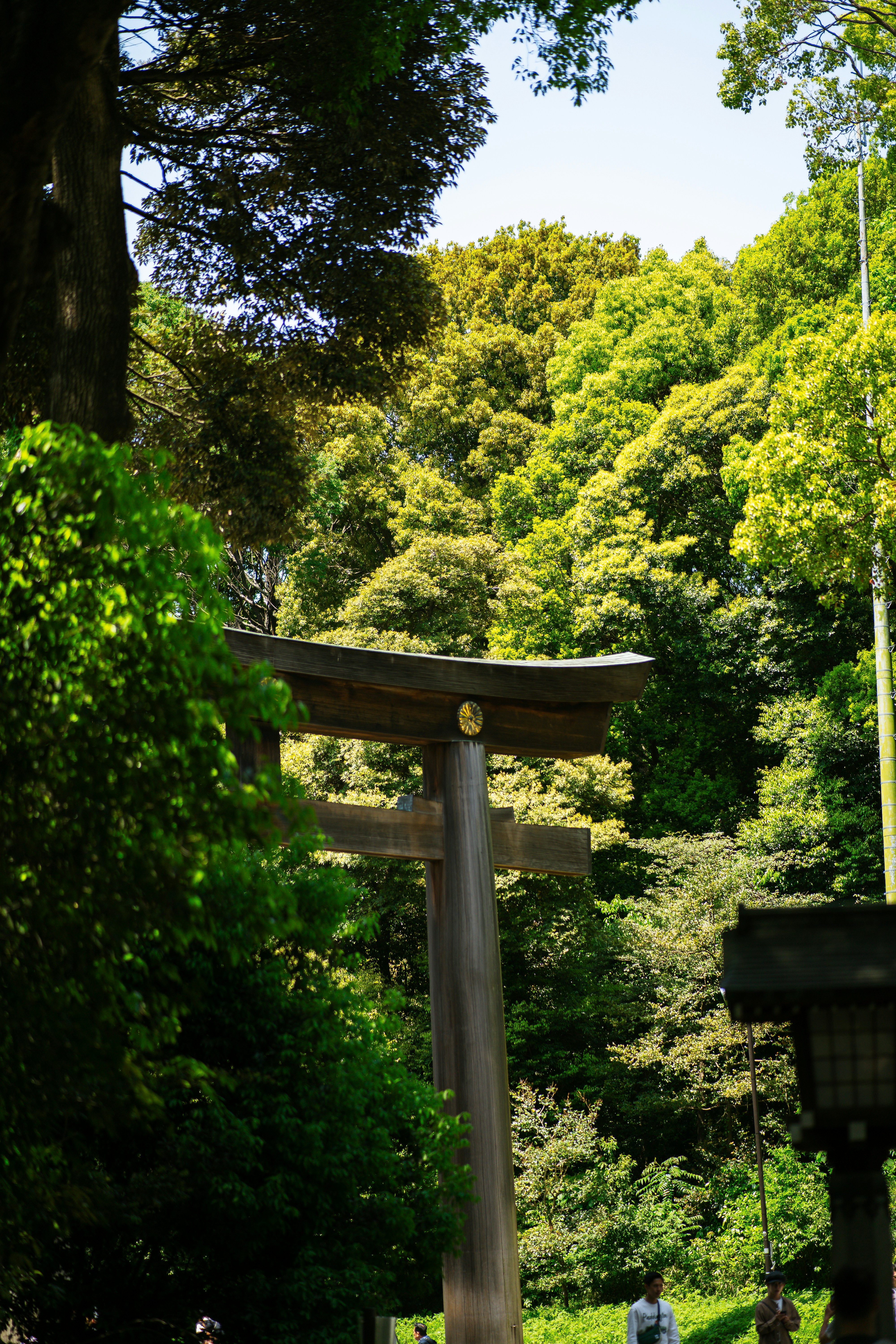 Photo by shields_mcmxcix