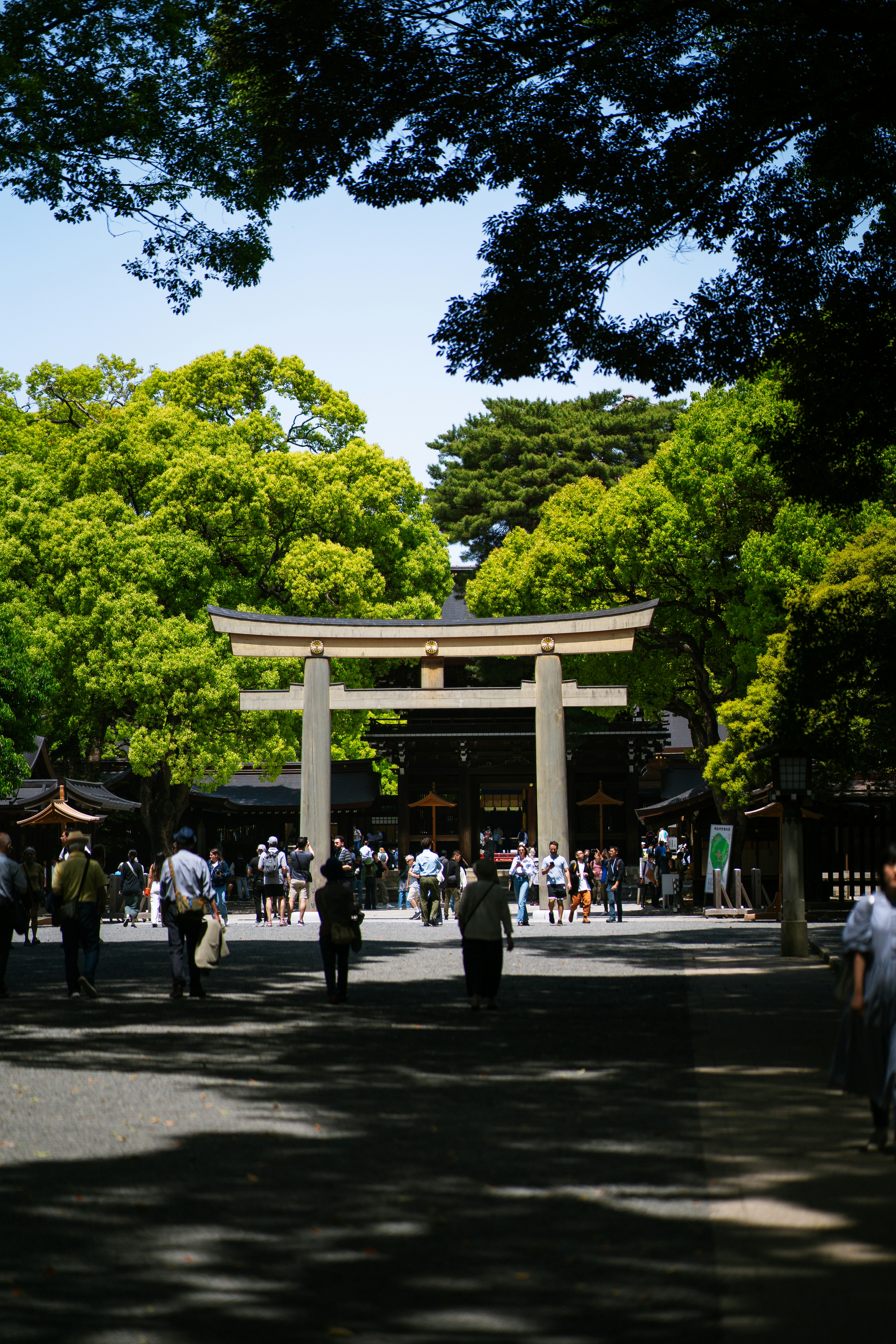 Photo by shields_mcmxcix