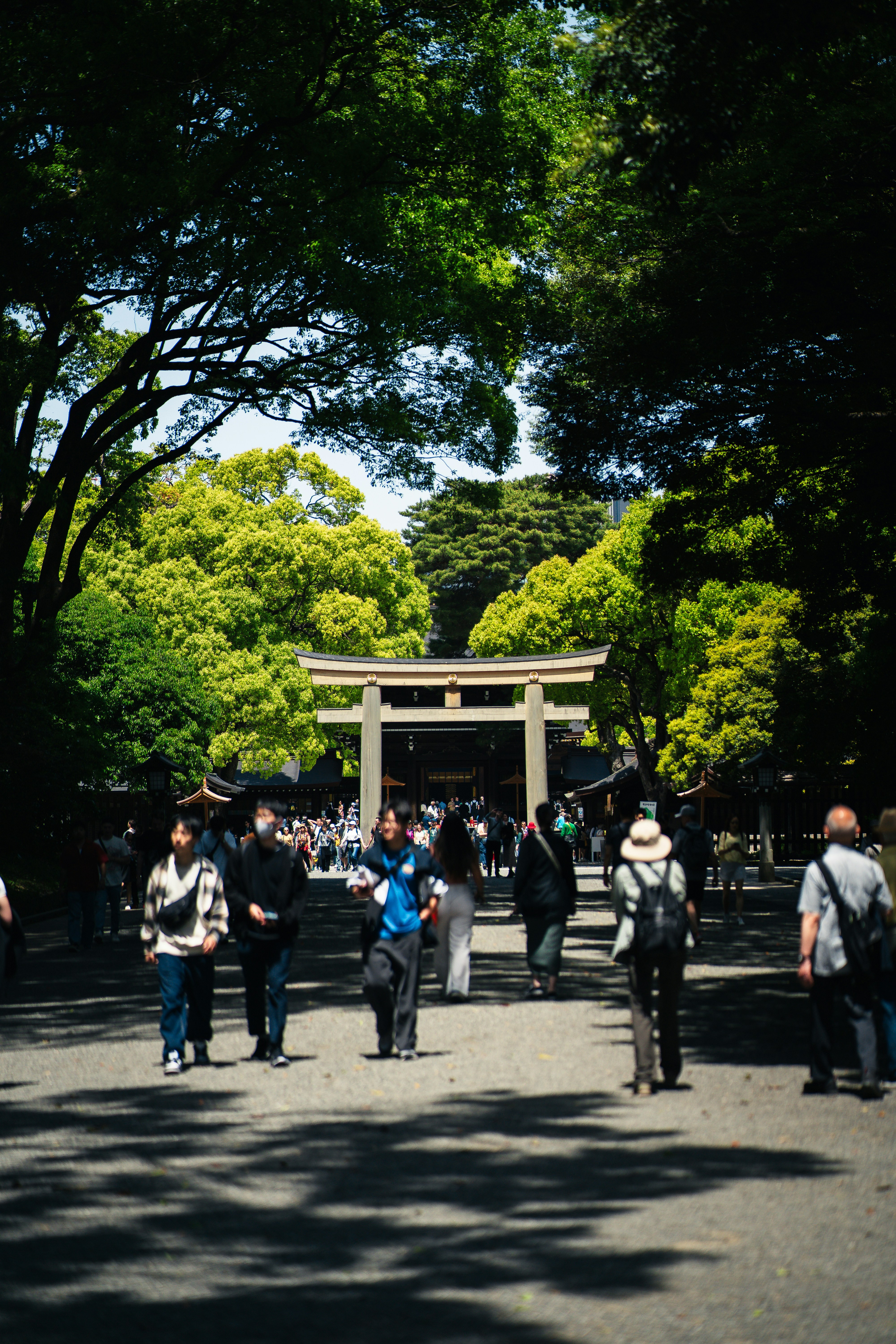 Photo by shields_mcmxcix