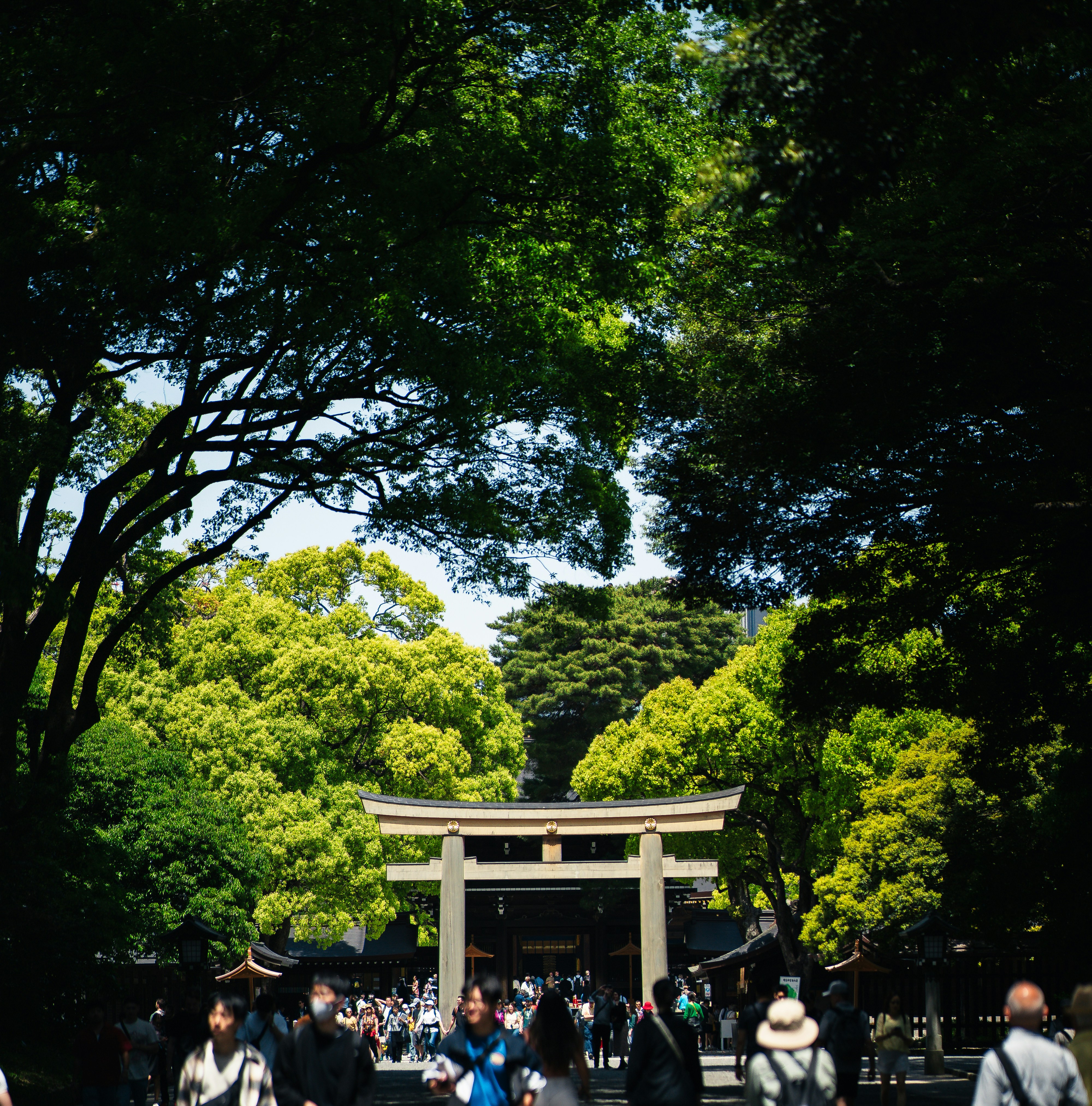 Photo by shields_mcmxcix