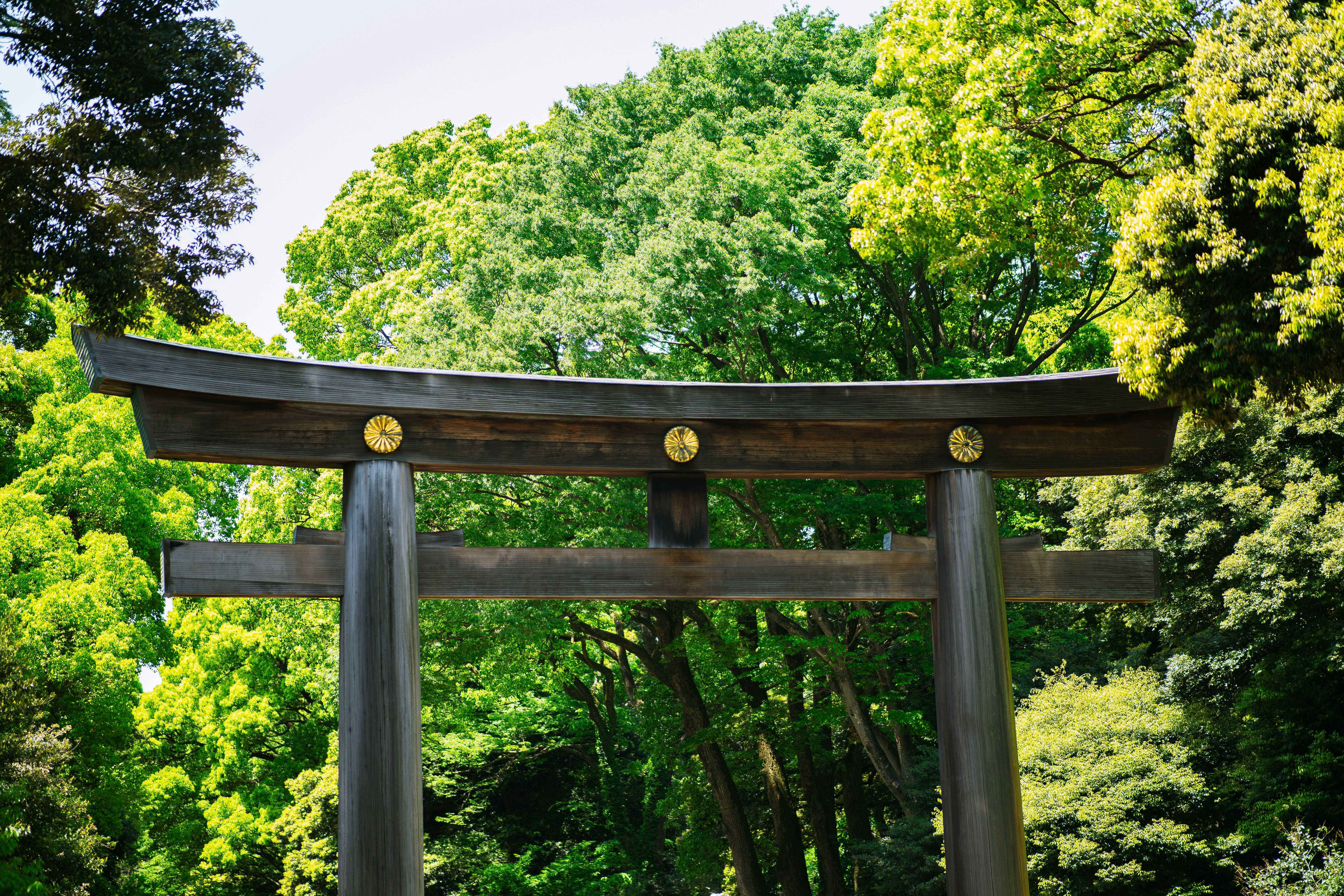 Photo by shields_mcmxcix