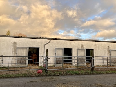 A row of stable doors on a white brick building, with one horse visible in the leftmost stall. The ground is covered with straw and there is a metal railing in front. The sky is overcast with fluffy clouds, providing a soft, natural light.