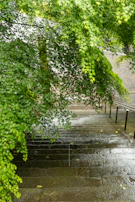 Front porch steps freshly washed, with water droplets still glistening on the surface.