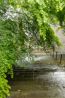 Front porch steps freshly washed, with water droplets still glistening on the surface.