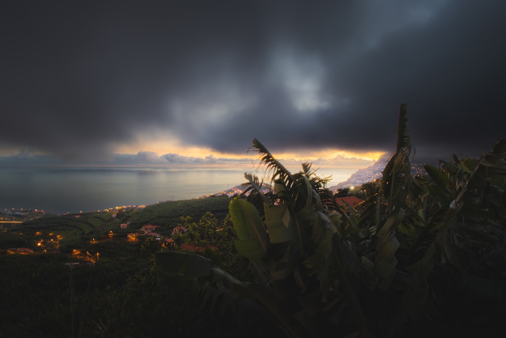 a view of the ocean from the top of a hill