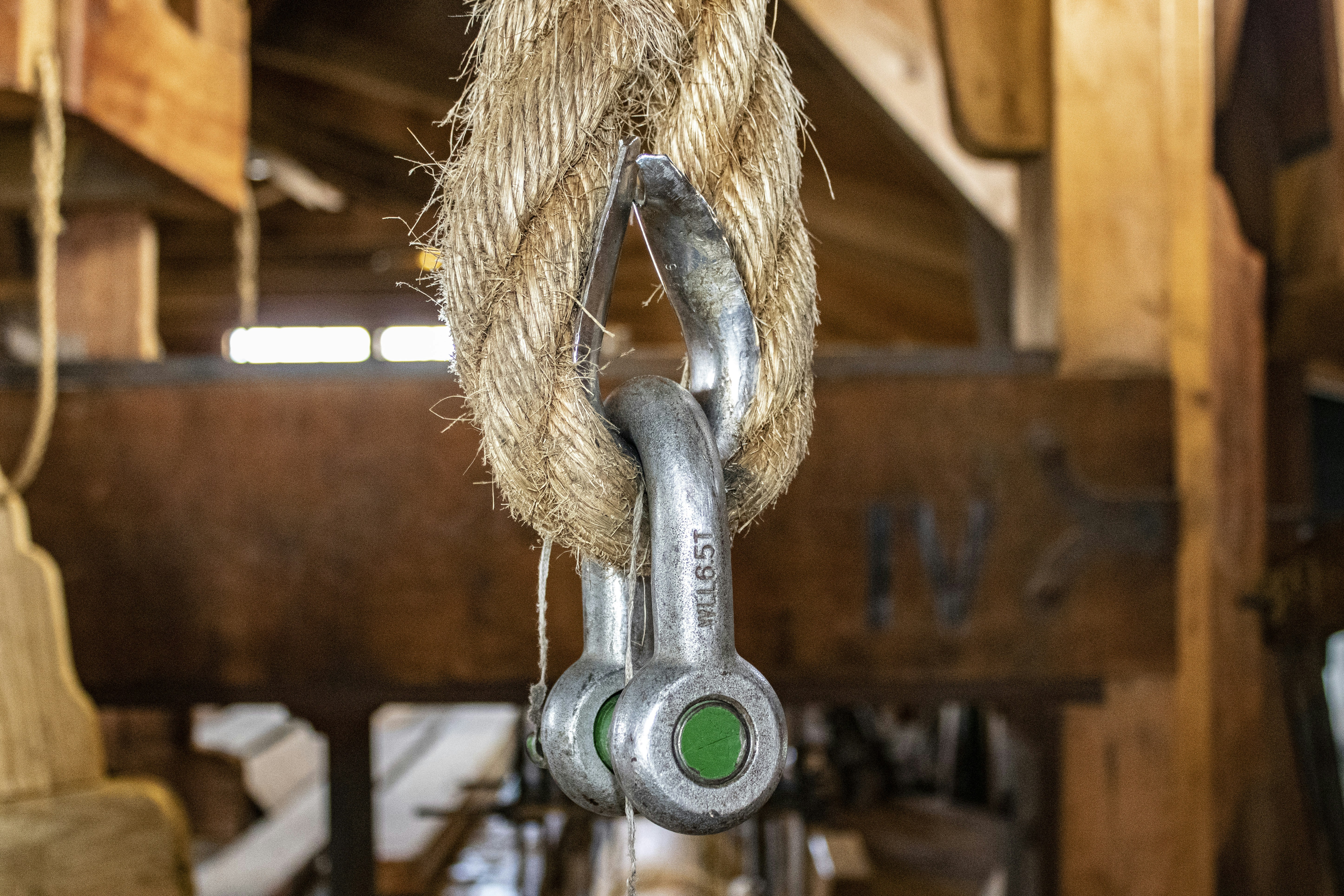 Photo by jddartphotographer