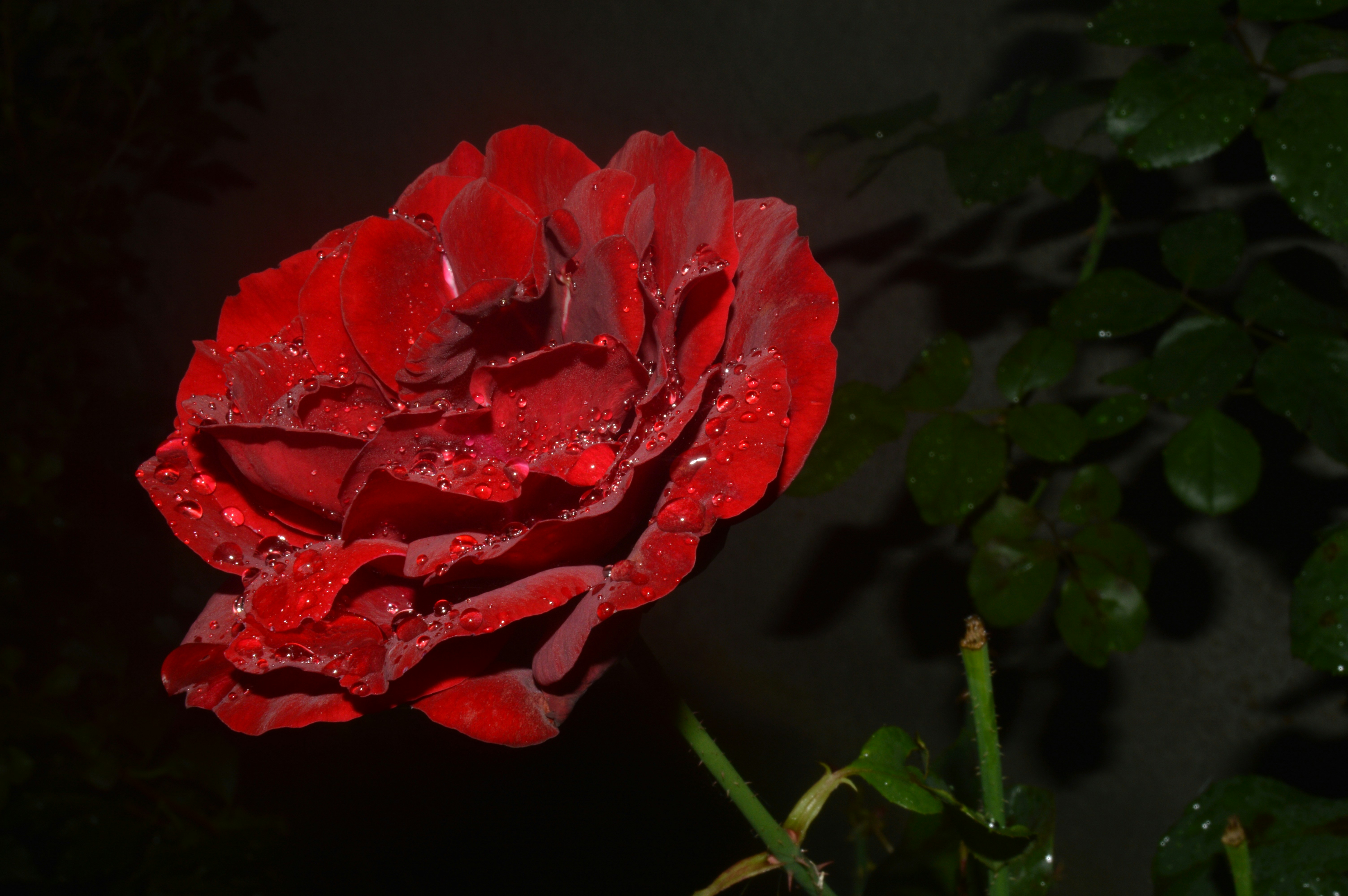 Photo by aastikmaurya