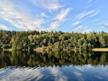 A serene nature scene illustrating the harmony of knowledge.