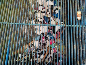 A collection of debris is trapped under a series of blue metal bars which are part of a grate. Various types of trash, including plastic bottles, cups, and other refuse, are visible. The debris appears to be accumulating in a water drainage system.