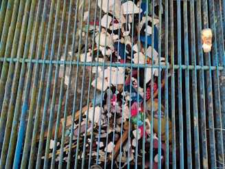 A collection of debris is trapped under a series of blue metal bars which are part of a grate. Various types of trash, including plastic bottles, cups, and other refuse, are visible. The debris appears to be accumulating in a water drainage system.