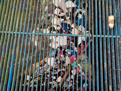 A collection of debris is trapped under a series of blue metal bars which are part of a grate. Various types of trash, including plastic bottles, cups, and other refuse, are visible. The debris appears to be accumulating in a water drainage system.