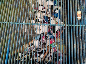 Photo 1682755004317 Df63a9d9b2c7?q=85&w=275&h=275&fit=crop