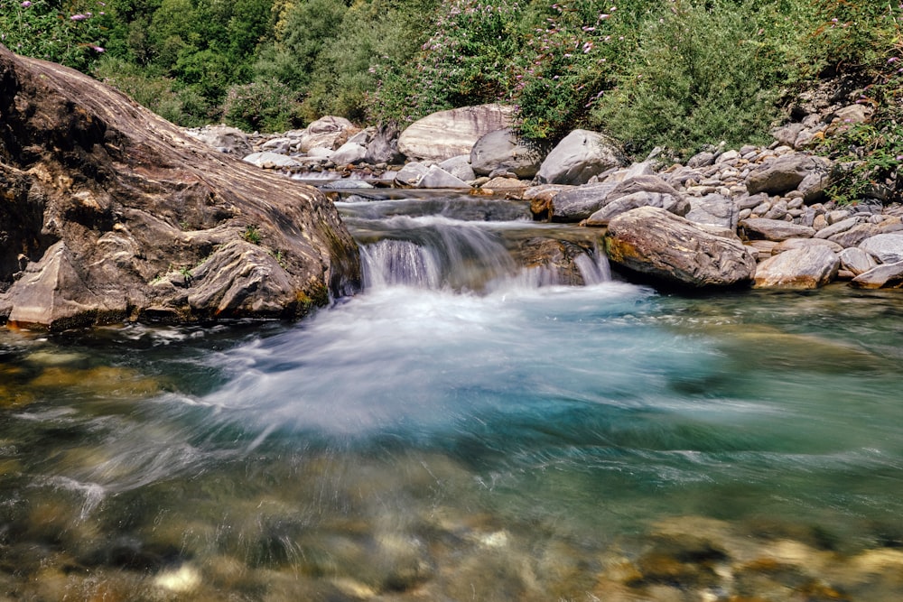 a stream running through a lush green forest