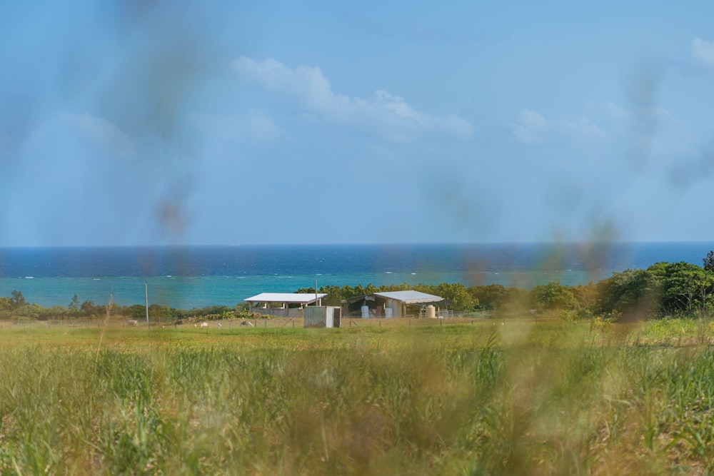 a view of the ocean from a grassy field