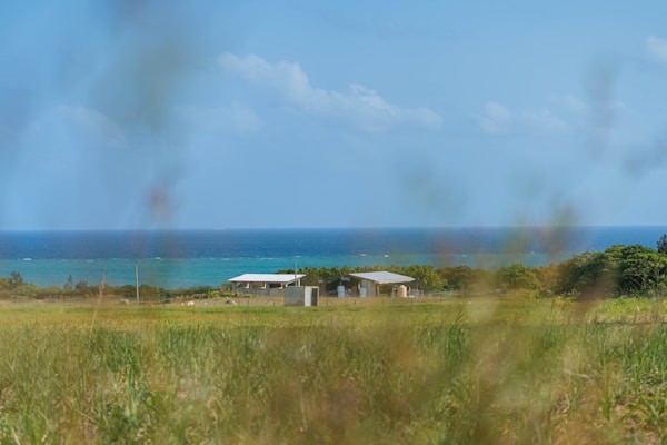 Explore Iriomote: The Serene Isle of Japan
