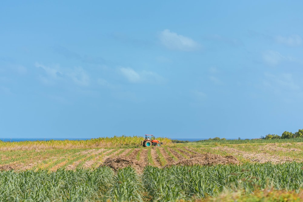 a tractor is driving through a corn field