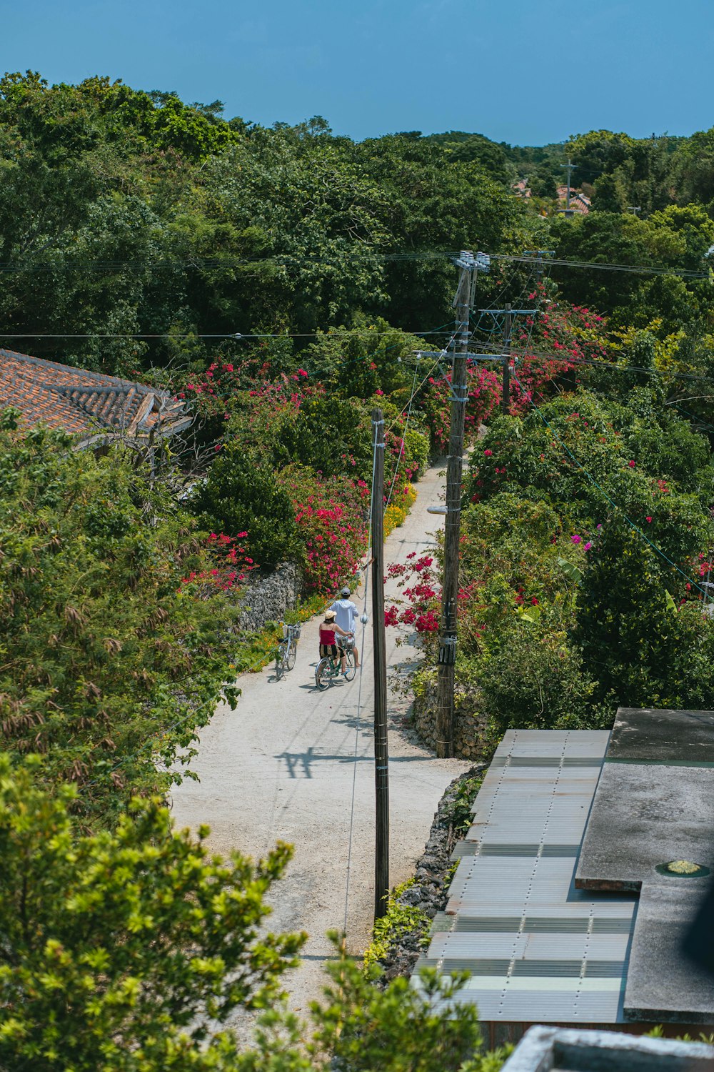 a couple of people riding bikes down a dirt road