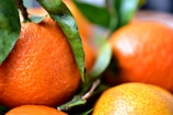 A close-up shot of fresh oranges with textured skin and green leaves attached. The focus is on the vibrant orange color and the intricate details of the fruit's surface.